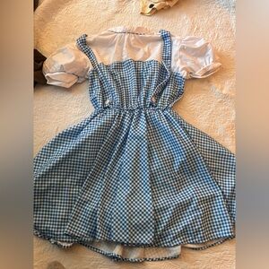 Plus size Wizard of Oz Costume